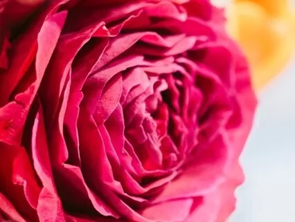 It's Root Chakra Day!