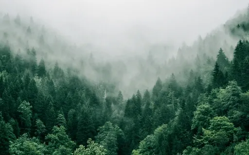 It's Time For A Change Of Scenery - Weekly Energy Boost