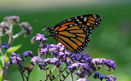 It's Time For Change