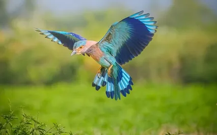 It’s Time For The Fun To Begin! (Finally)