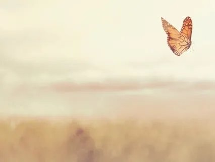 It's Time To Get Curious About The Source Of Your Feelings