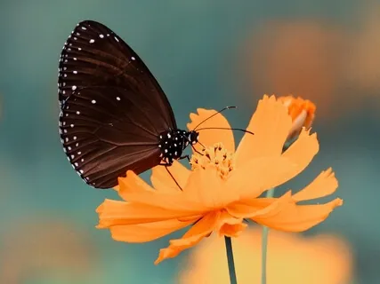 It's Time To Heal - Release Your Fears