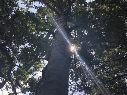 It's Time To Heal - Take Your Power Back