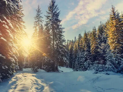 It's Time To Settle Into The Joy Of The Season