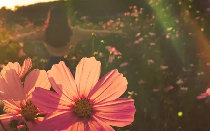 It's What You Want To Feel ~ A Wisdom Note With Dorothy