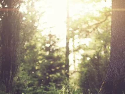 Itura - Tranquillity - Drums And Music (Rhythm)