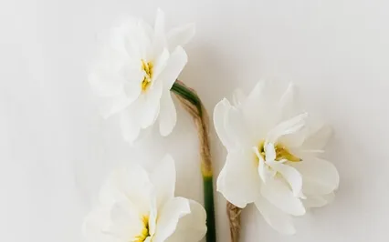 Ivan Teixeira - In The Morning