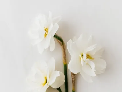 Ivan Teixeira - Ruah