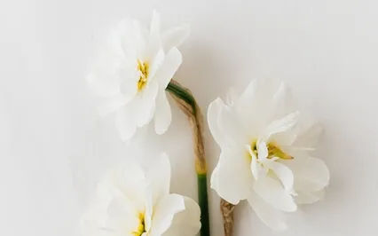 Ivan Teixeira - Santorini