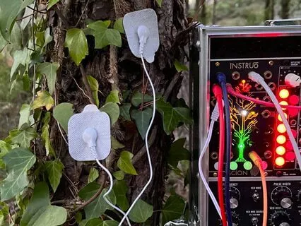 Ivy Vibrations | 432Hz and Theta from Living Plants