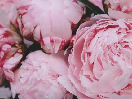 Любовь к Cебе 