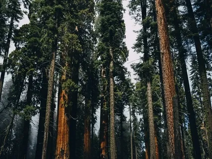 2-Minute Easy Breathing For Calm