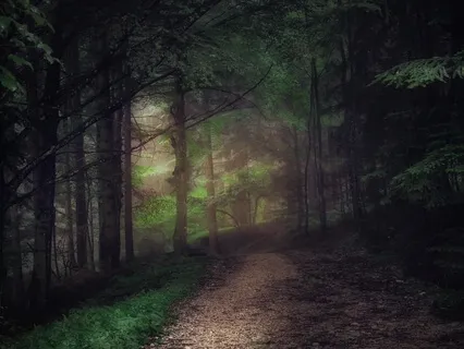 Jaene's Rest For New Parents