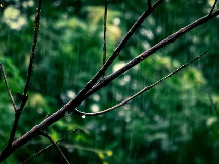 Jagged Rain Melody - 8 Minutes To Relax
