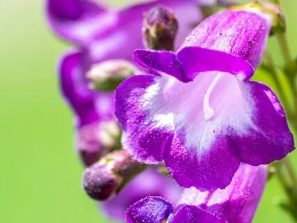 Jak zmienić przeszłość aby mieć wymarzoną teraźniejszość i przyszłość