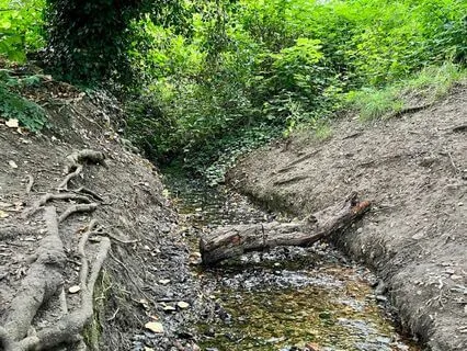 Jal Tattva Dharana - Connect With The Water Element