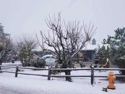 January New Moon, Intention Setting For The Year Ahead