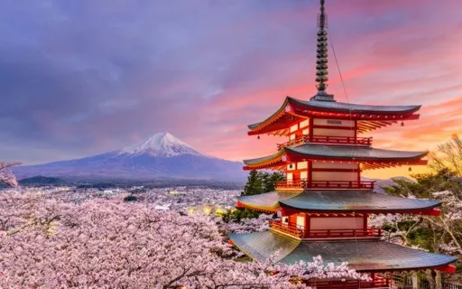 Japan Visualization Journey: Take An Unforgettable Trip