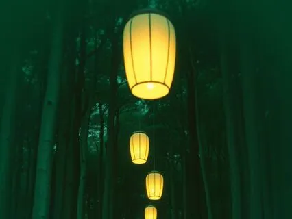 Japanese Meditation - Echoes Of Bamboo