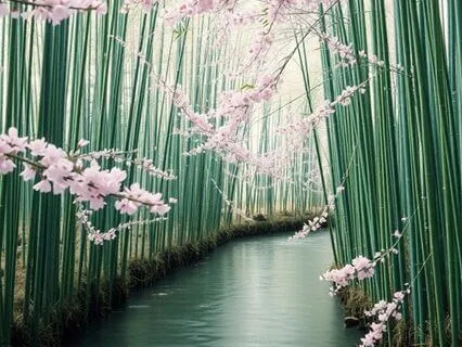 Japanese Meditation II – Moon Over Kyoto