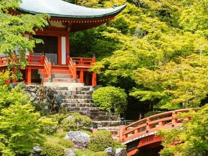 Japanese Trail: Blossoms & Quiet Peace