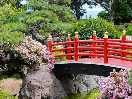 Japanese Water Garden – Tranquility In Flow