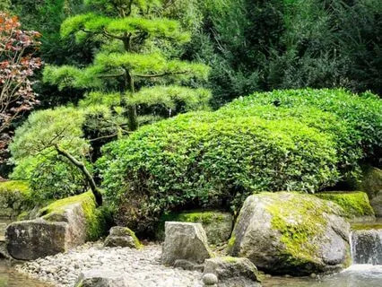 Japanese Zen Garden At Sunset: Sleep Meditation