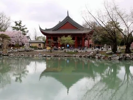Japanese Zen Garden — Koto & Water For Deep Stillness