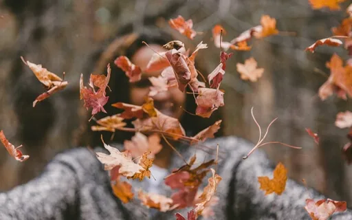 Jaw Relax Meditation - Letting Go (Nature Inspired) 