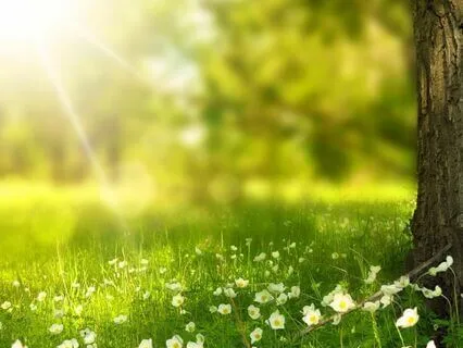 Jaya Jagadambe - Mother Of The Universe