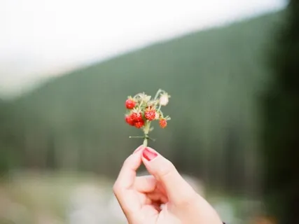 Jaya Maa - Song To The Divine Mother