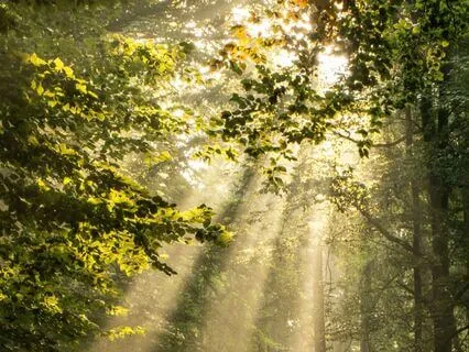 Jealousy As A Teacher (Meditation)