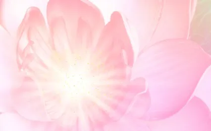 Jewel Within The Lotus - Heart Meditation