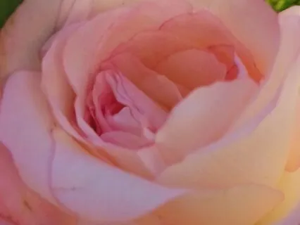 Jewish Heart Meditation