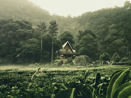 Jhanas, Buddhist Reconciliation & The 6 R's W/ David Johnson