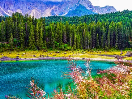 今ここ瞑想 (Live In The Present)