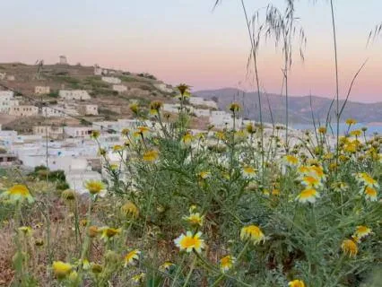 Join Me For A Day Full Of Greek Island Sounds