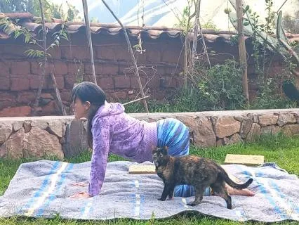 Joint Release | Gentle Yoga