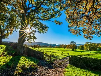 Journal Prompt:  Cultivating Intuitive Awareness