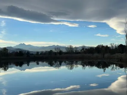 Journal Prompt: Dive For Your Dreams