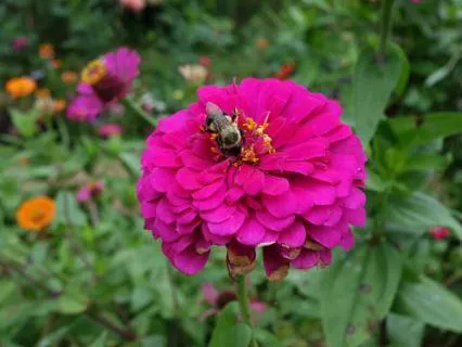 Journal Prompt: Prosperity — Thriving Through Connection