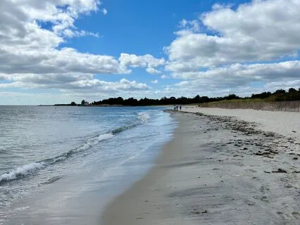 Journal Prompt: Summer