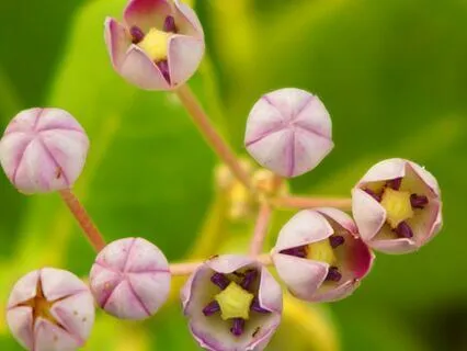 Journal: What I'm Thinking, How I Feel, What I'm Asking For