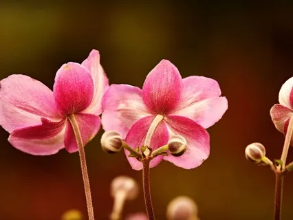 Journaling Exercise: Uncover Core Beliefs