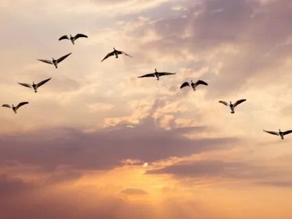 Journaling Meditation To Deepen Self-Trust