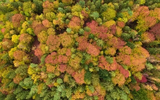 Journaling Music - Piano, White Noise & Rain