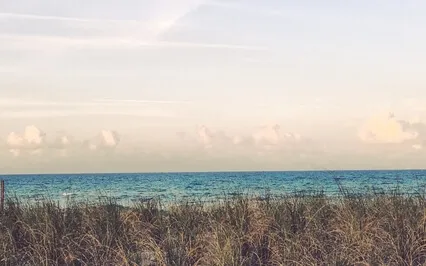 Journaling Prompt - Prioritize