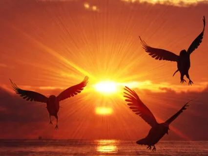 Journaling To Reclaim Your Power