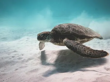 Journey 1 | Sacred Sounds for Inner Peace & Calm Reflection