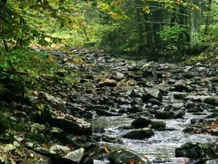 Journey Along A River With Sparkly Playful Clouds Of Joy